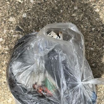 ゴミ拾った　佐川のはこぶんくんもいたよ