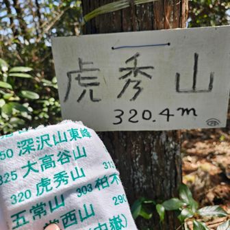 虎秀山　（飯百　98座目）