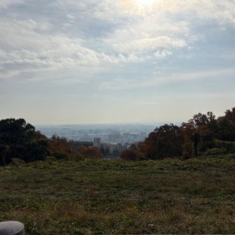 黄砂かな？
伊丹や淀川花火も見えるんだって
