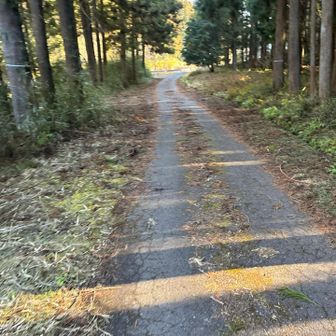 最後は長めの舗装路歩き😵