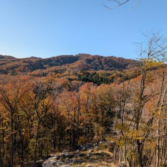 三角点から⛰️
山頂が見えるね✨️