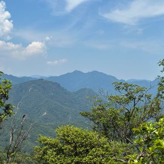 仙ヶ岳