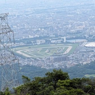 数時間後に「宝塚記念」が行われる阪神競馬場。帰ってからびっくりゲリラ豪雨の中での発走でした🏇