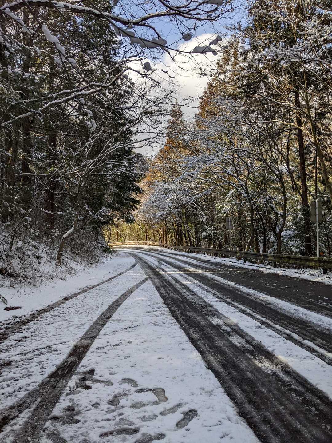 八木山 往復コースの写真