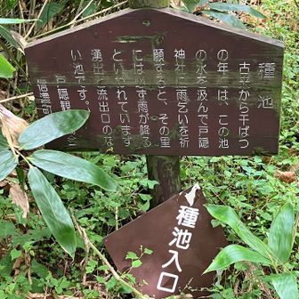 湧出と流出口がないって、どうやって水位を保っているのか不思議。
（誰も保っているとは言ってないけど）