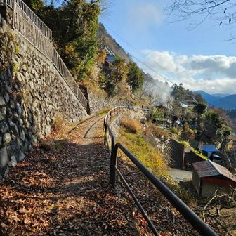 奥多摩湖から上の方に見えた住宅地の道を歩きます。のどかぁ～