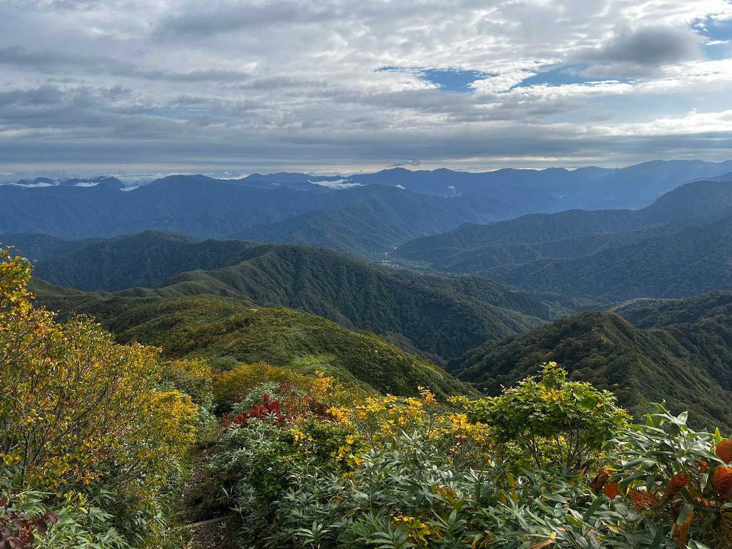 百草ノ池-明神峠-枝折峠 縦走コースの写真