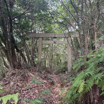 降りて行くと鳥居⛩️