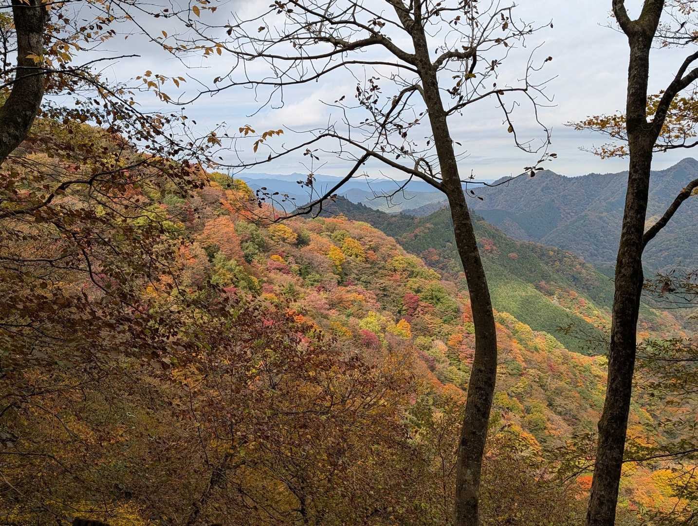 ここも美しい紅葉