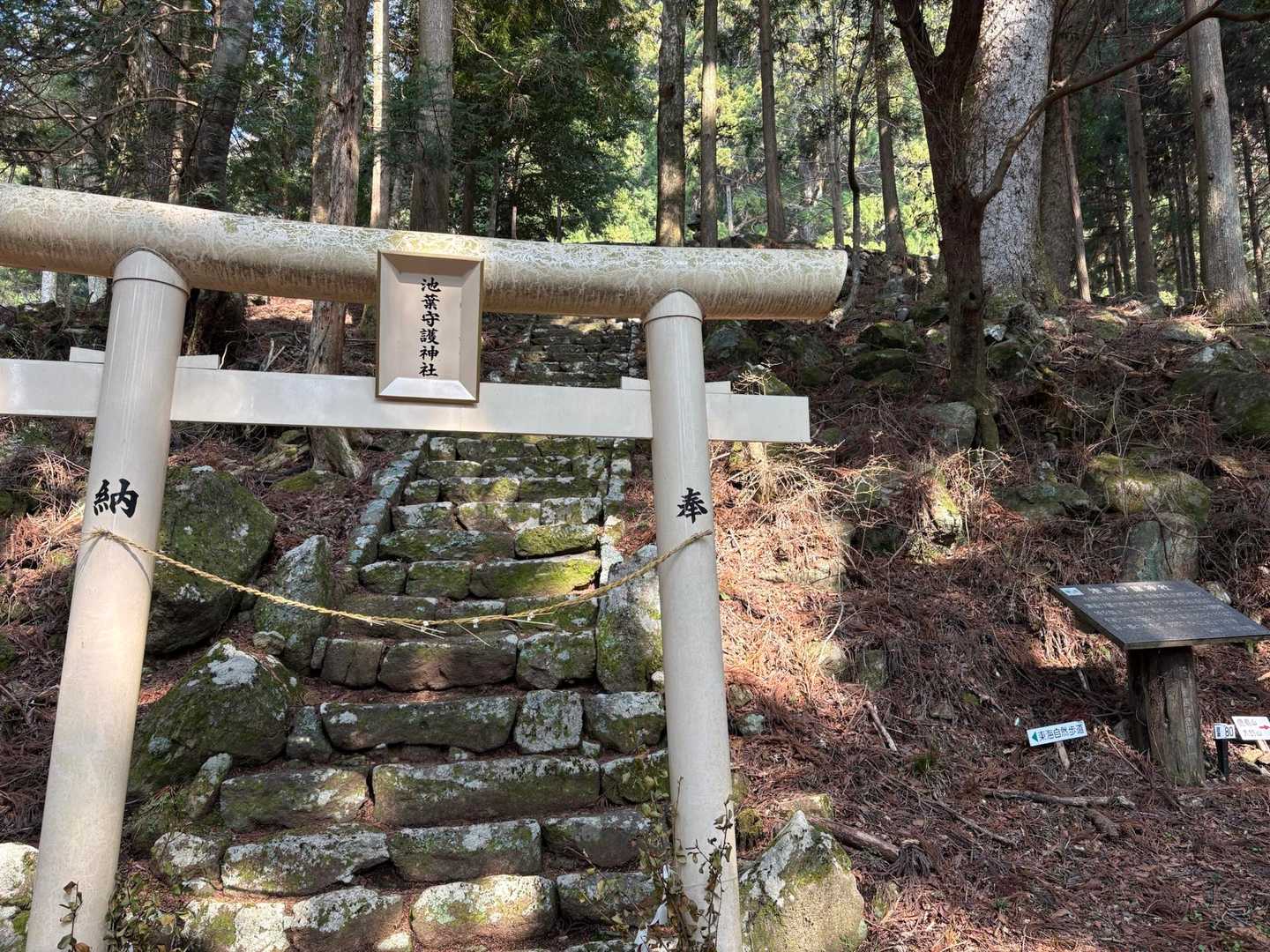池葉守護神社⛩️で東海自然歩道とお別れ👋