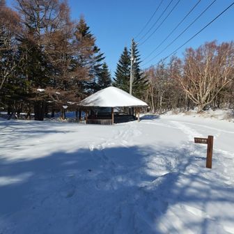 四阿もあります。