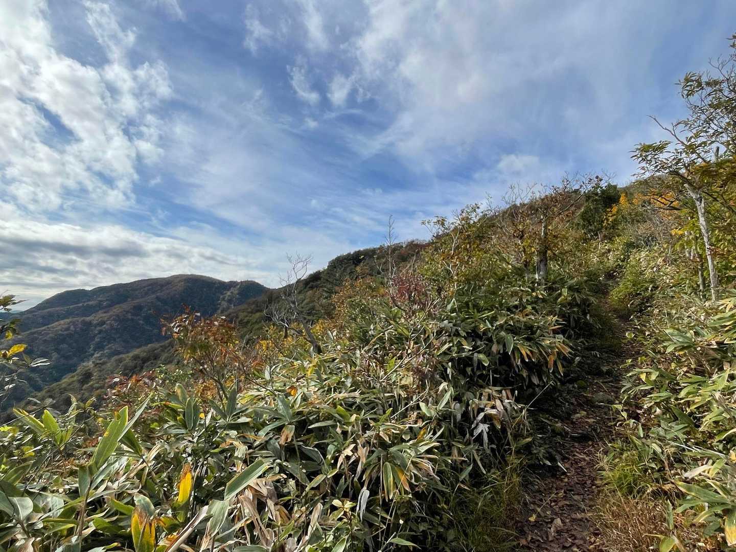 開けた稜線歩き