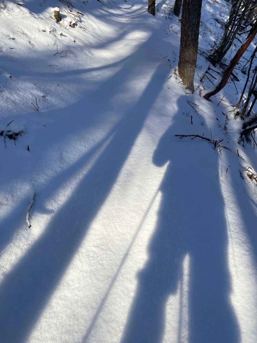 王岳（西湖いやしの里）の写真