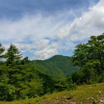 七ツ石山に登り返してから下山。巻き道より楽しくて歩きやすい。