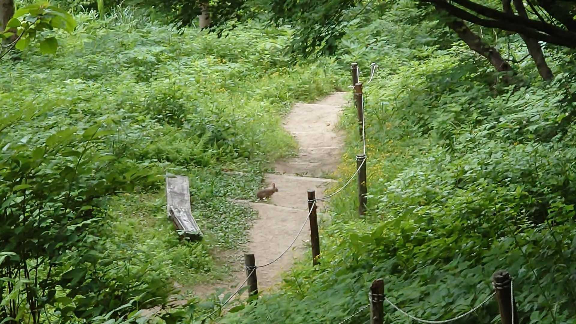 おーい