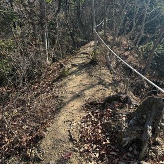 ロープ道もあったり。