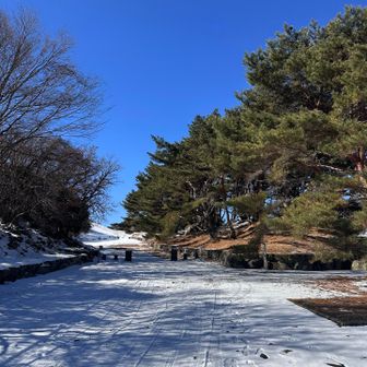 この時間になると他の方のトレースもチラホラ