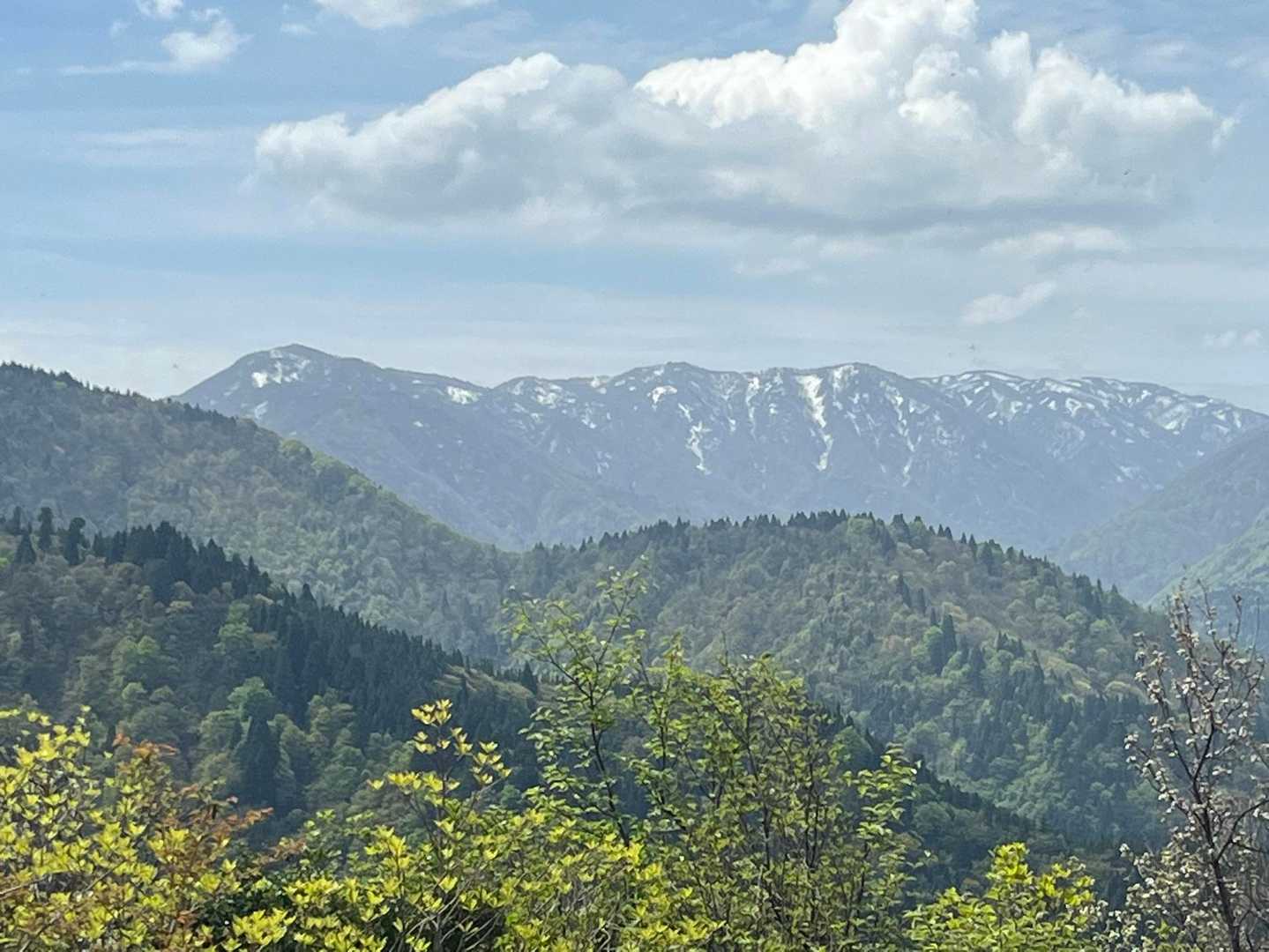 夫婦山-夫婦山 往復コースの写真