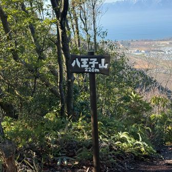 八王子山220m。奥は蓬莱山など。