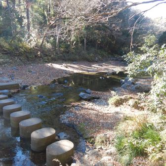 凍てつく寒さ！