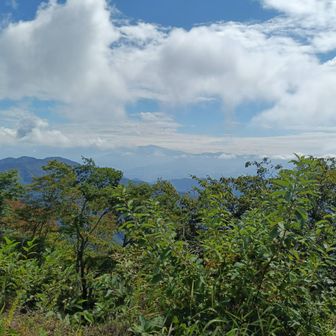 同じような景色を何枚撮った事か。笑　割愛します。