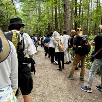 バス停から森の中まで続いていた帰りの上高地。こっちも変態だけど、コレ乗らんと帰れん🤣。タクシーにしたけど1時間チョイ待った🤣。