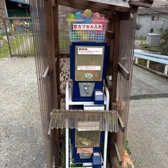 山ガチャが近くに😂
やるしかないじゃん……