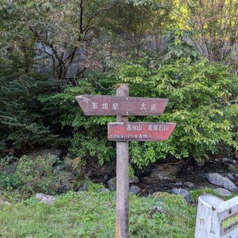 道標に従って、平溝通りから分かれて行きます。