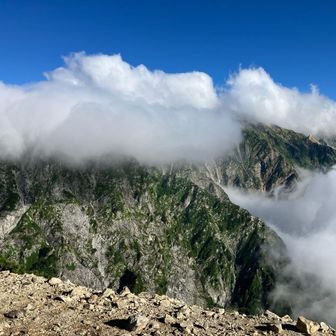 どすこい同好会