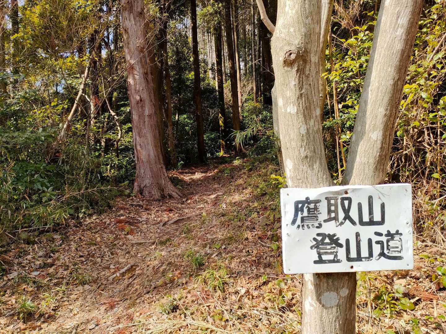 ここから再び😁
