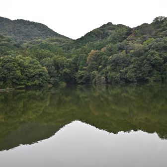 下山中の、大池と二上山