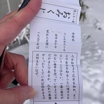 真の自分を知り、自己の基礎をしっかりしろ

とのお告げ…

ここのおみくじには、毎回自分を顧みて地道にやるように言われますね
(もしかしておみくじって全部そんな感じ？イケイケGOGO言われたことないかも)

ちなみに吉でした❗️
