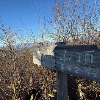 ここで、早めのランチ😋