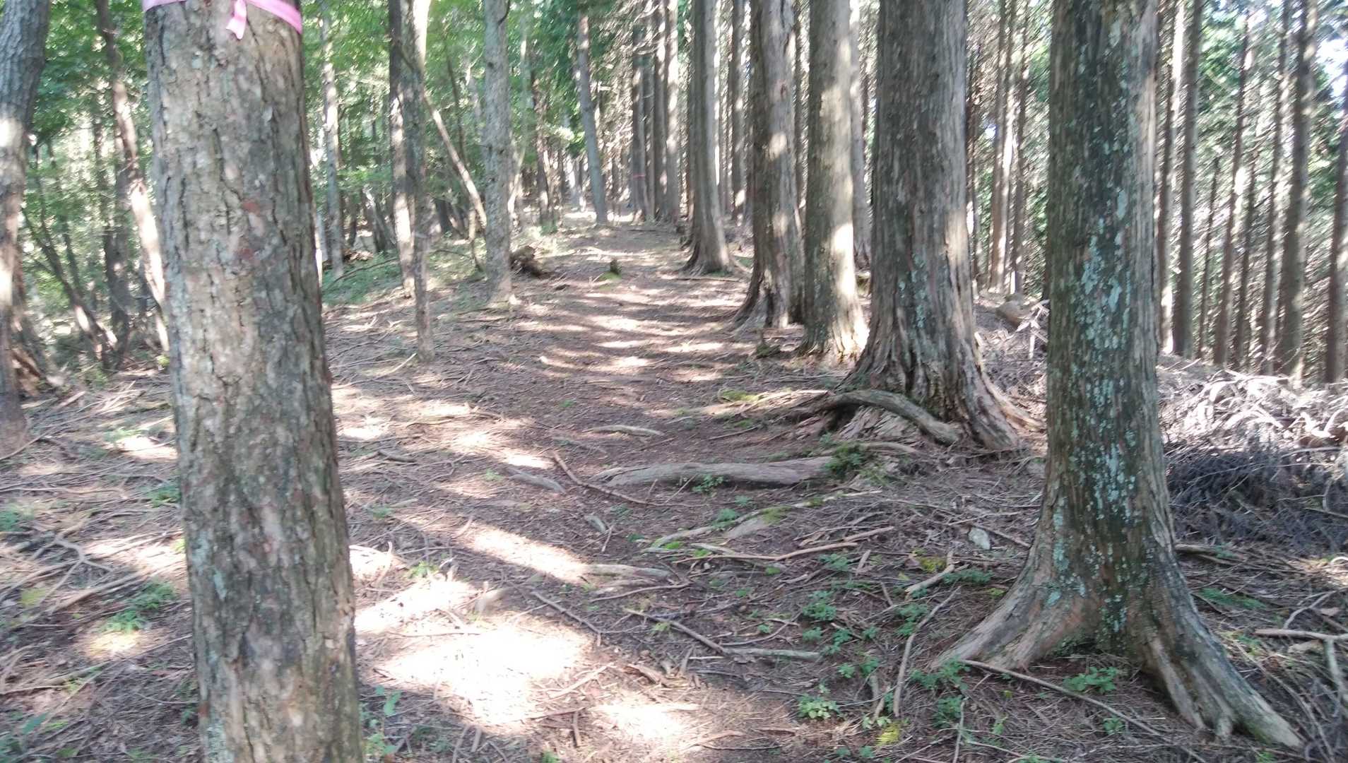 先日の妙見山と同じく、安全・快適登山が出来るルート