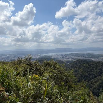中海方向がくっきり見える。