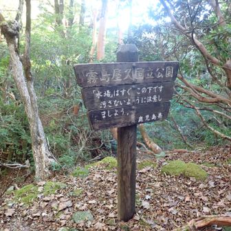 新高塚小屋手前の水場