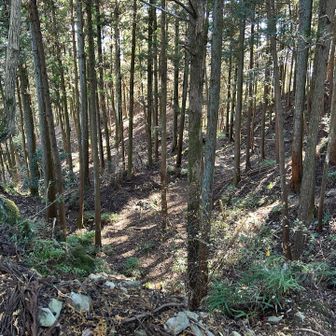 辛垣城跡を上から見る。
こんなところにお城があったなんて