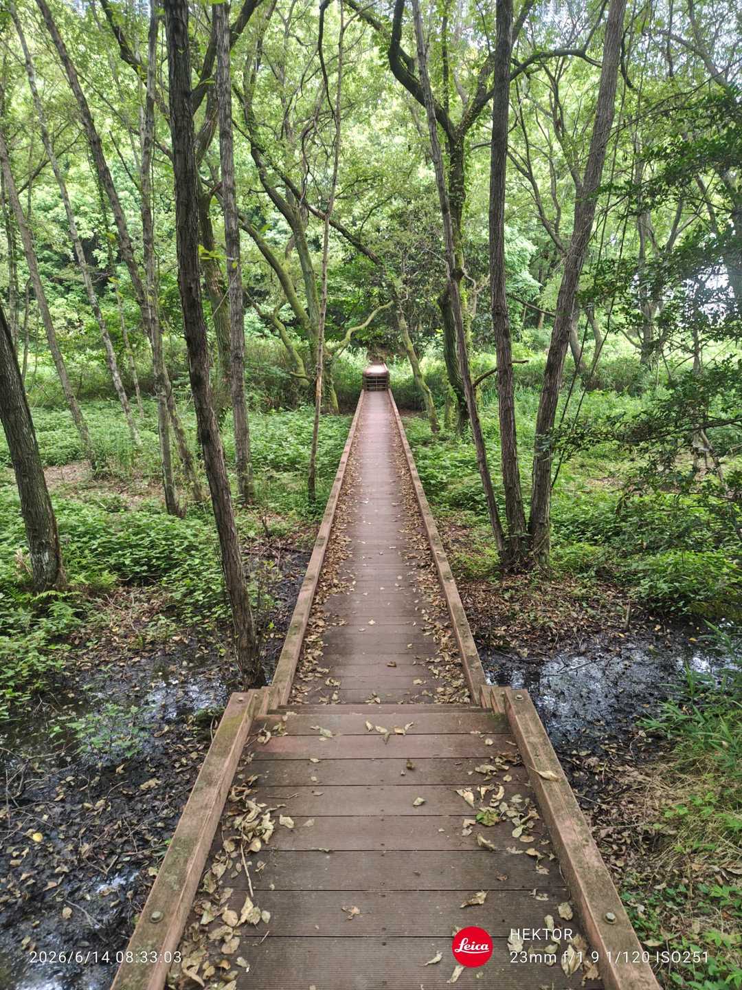 親鸞山 周回コースの写真