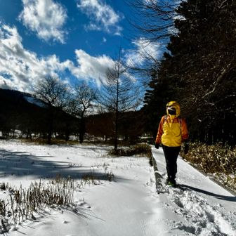 大阿原湿原まで行ってみた
