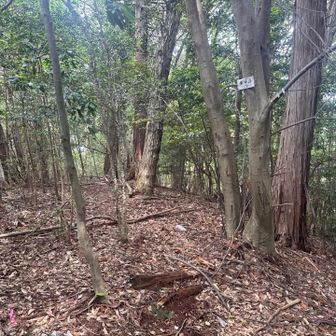 東中峰。

また東。
何から見てなんだろ？