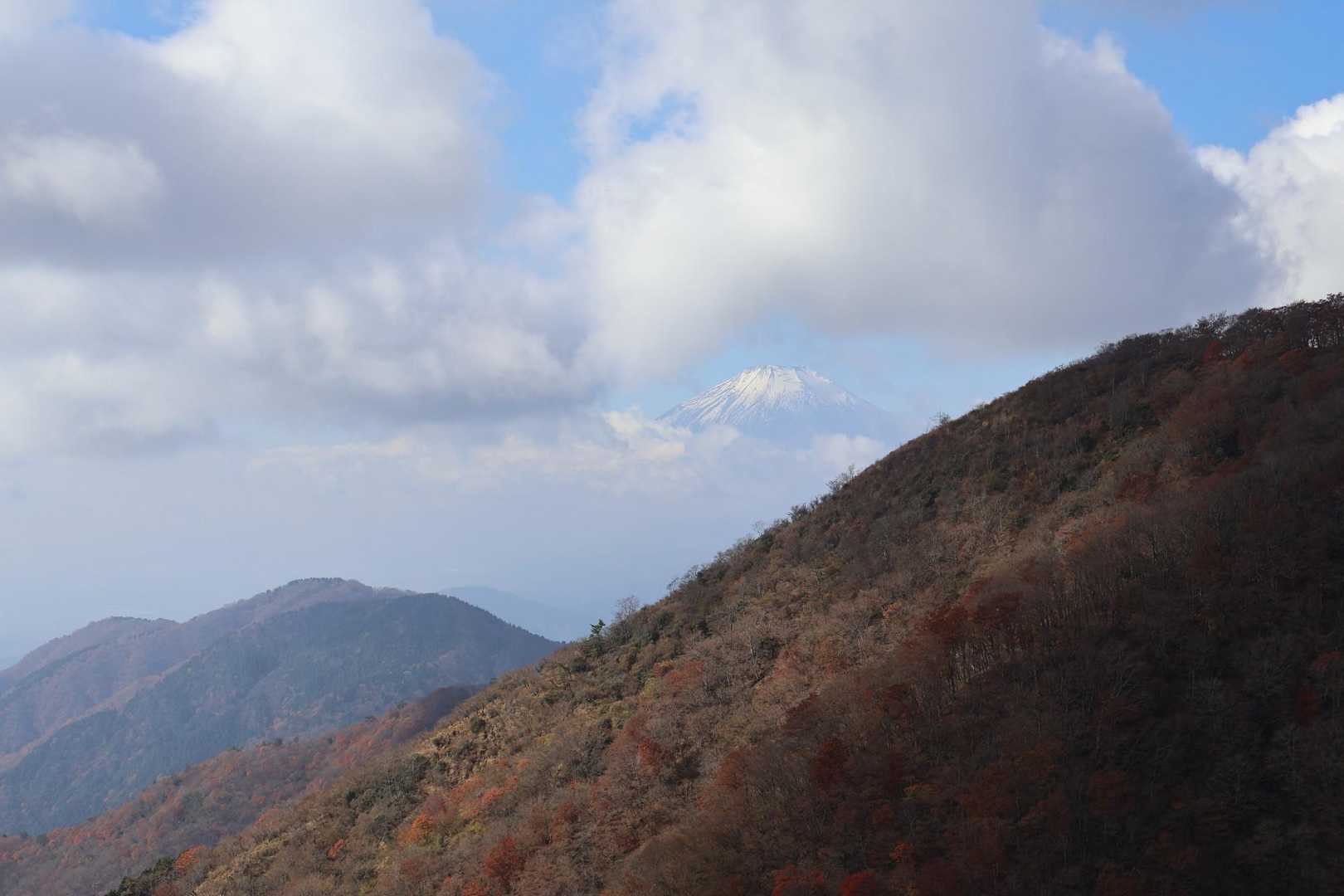 大倉バス停-後沢乗越-鍋割山-小丸-花立ノ頭-堀山-観音茶 周回コースの写真