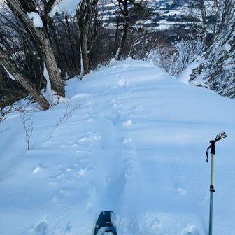 私が下山するタイミングではまだ
周回コース使ってる人おらず👀