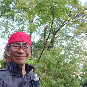 野良坊(藤本広一)