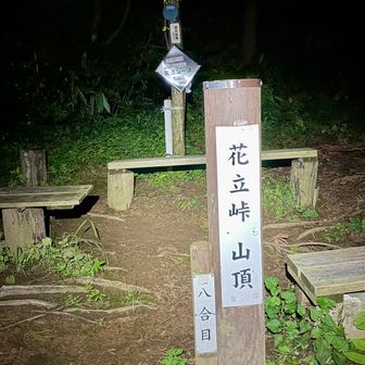 9時過ぎたので下山開始時。