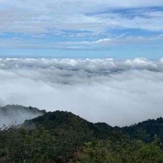 360°パノラマ