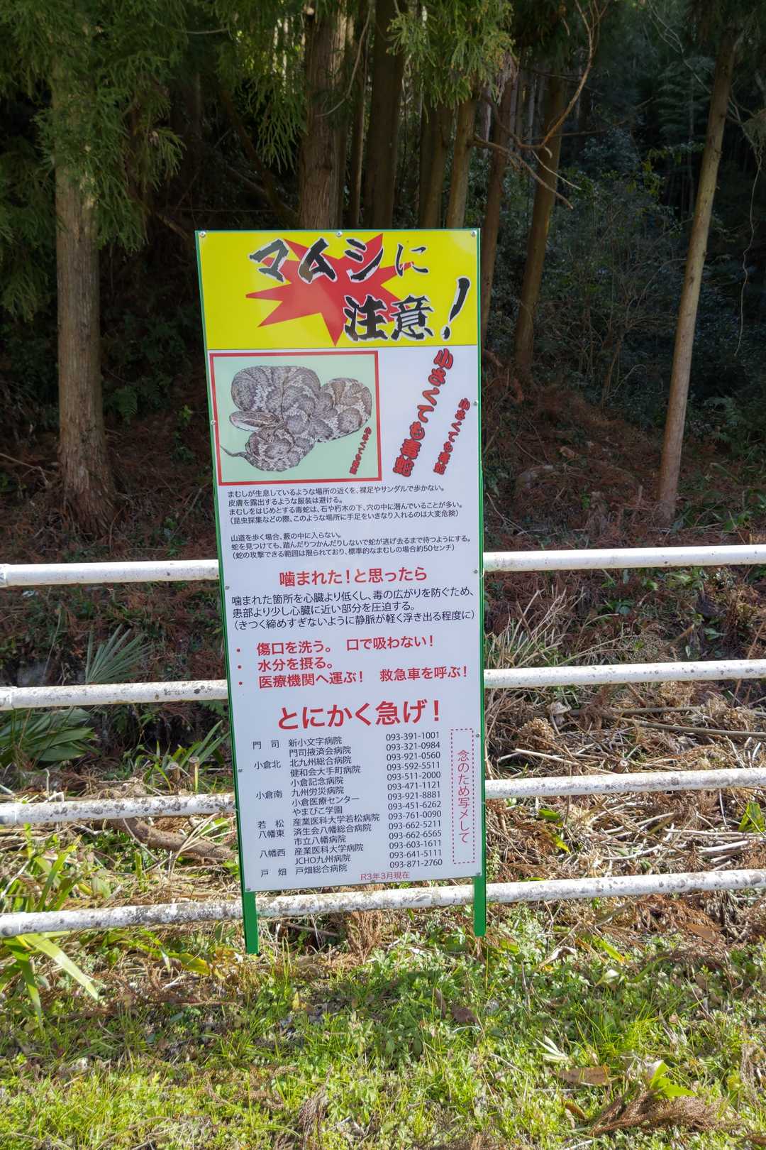 下山しました。