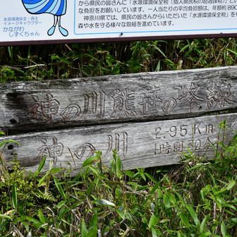神の川熊笹の峰線との分岐まで来ました。