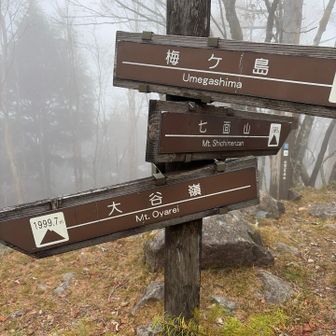 分岐
七面山に通じる道はここから