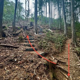 左が急な階段を登る最短ルート　右は巻道