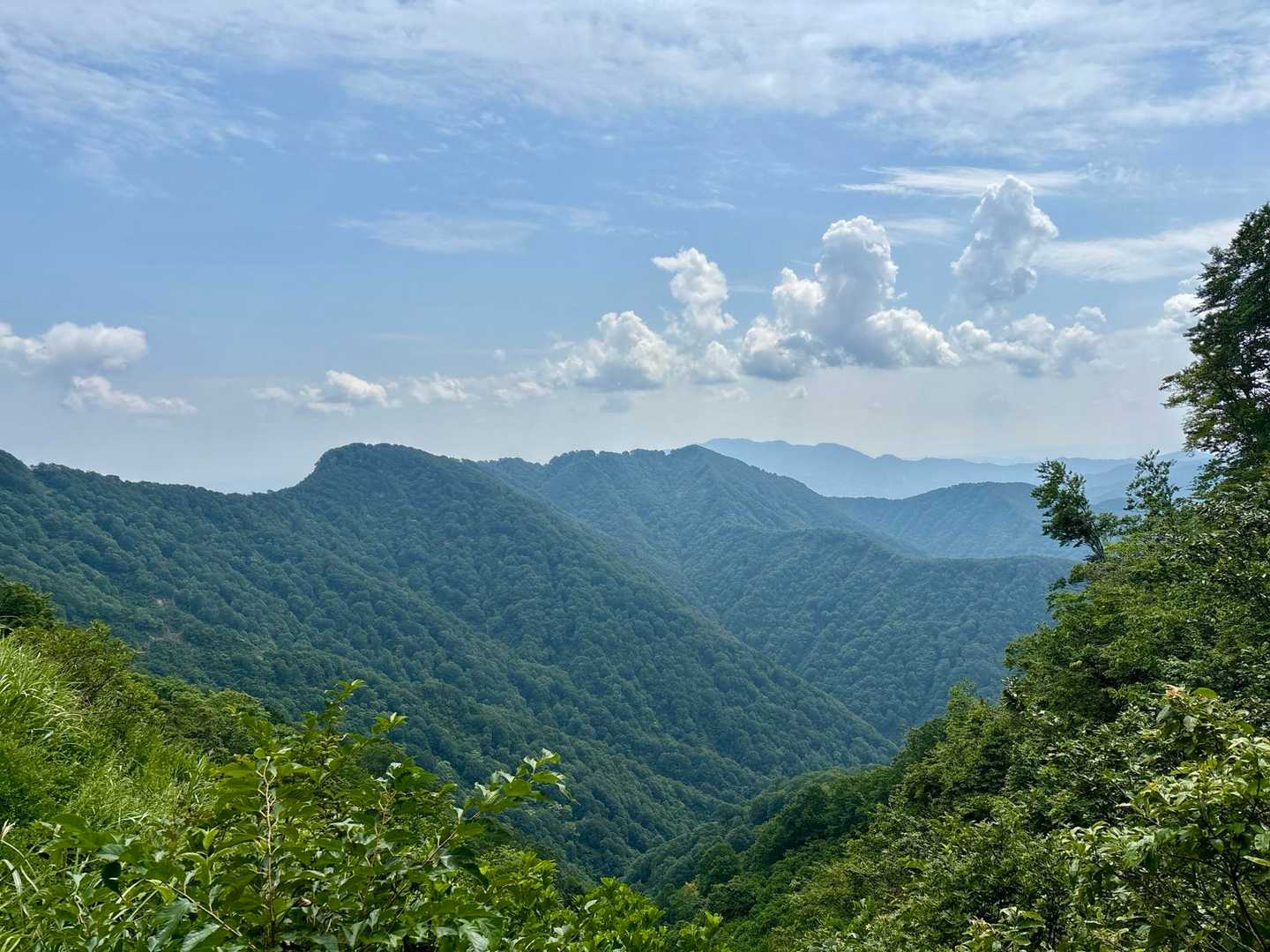 越後駒ヶ岳見えず。